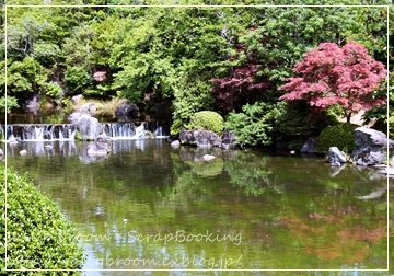日本庭園＊癒しの時_d0132371_22035990.jpg
