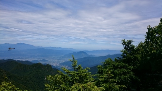 f0157572_10534092.jpg