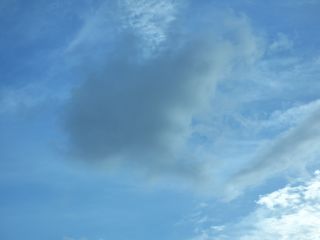 2015年7月16日 あたしゃ~どうなるの_b0098584_1581233.jpg