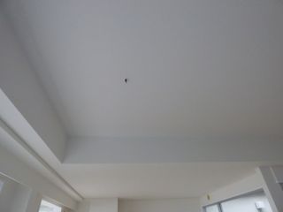 2015年7月16日 あたしゃ~どうなるの_b0098584_1592320.jpg