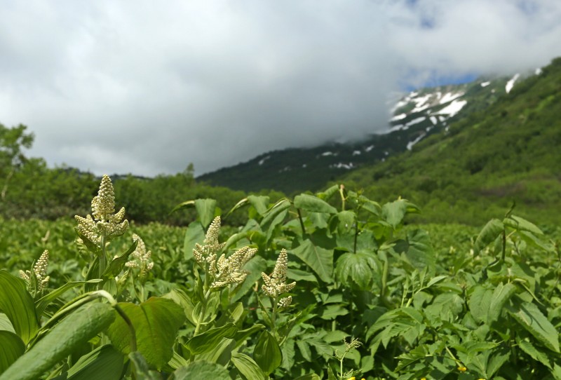 f0000789_16461125.jpg