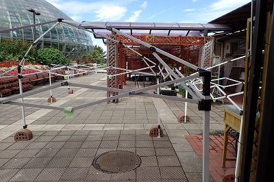 台風目前、食虫植物展目前_f0203094_1174385.jpg