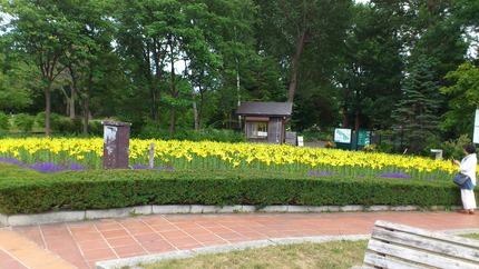 百合が原公園お花見散策_b0159098_885746.jpg