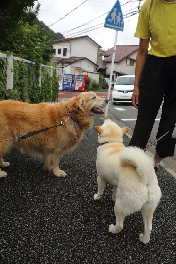 渋柿当選♪_b0275998_1394822.jpg