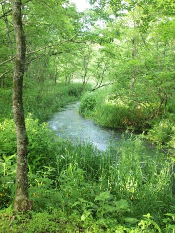 イギリスに行った気分でヘイゼルグラウスマナーへ･･････北海道７_b0331802_22394601.jpg