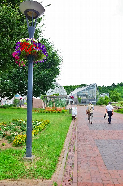 新津の植物園で研修会_c0336902_20581443.jpg