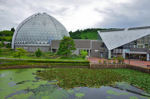 新津の植物園で研修会_c0336902_20585024.jpg