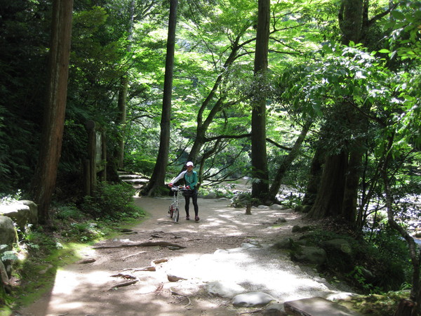 c0266004_17552143.jpg