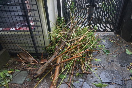 台風去って！？_f0353904_6415017.jpg