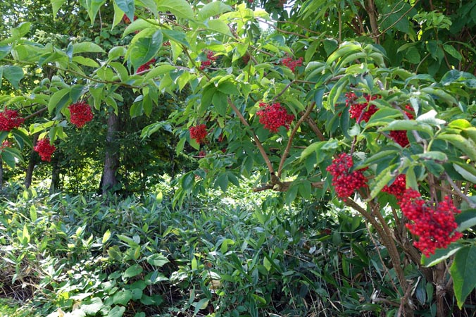 f0160407_44923.jpg