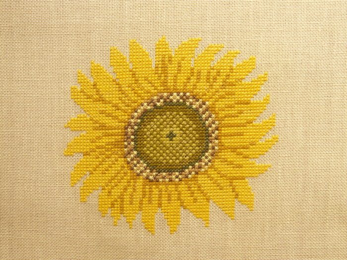 sunflower_b0286321_14364188.jpg