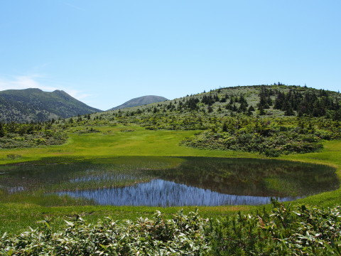 b0147224_16433476.jpg