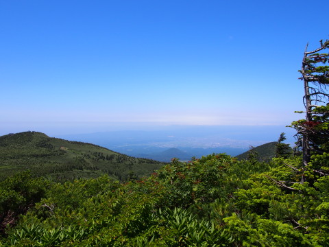 b0147224_16451542.jpg