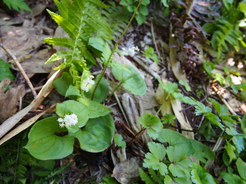 b0147224_164675.jpg