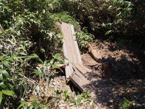 b0147224_1649148.jpg