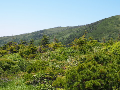 b0147224_16495629.jpg