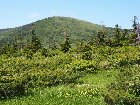b0147224_16505295.jpg