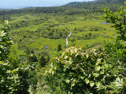 b0147224_16574317.jpg