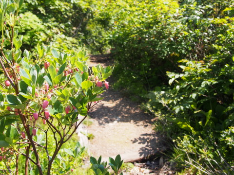 b0147224_1704897.jpg