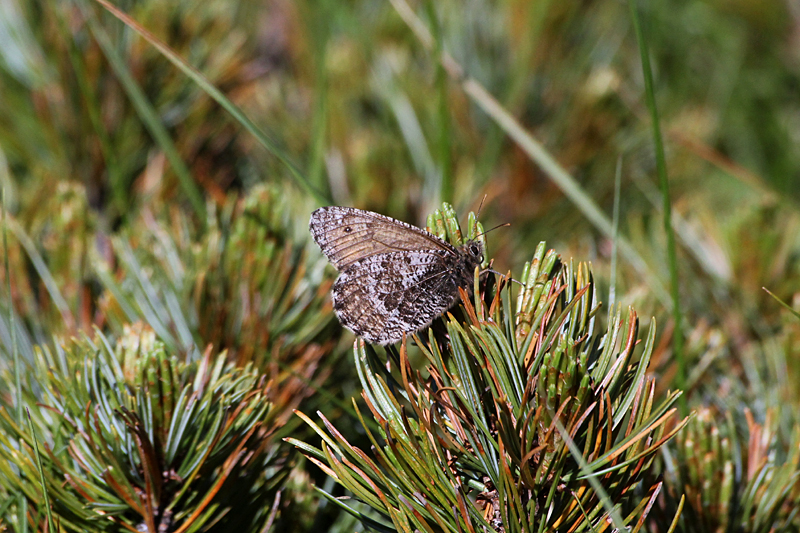 d0054625_21402939.jpg