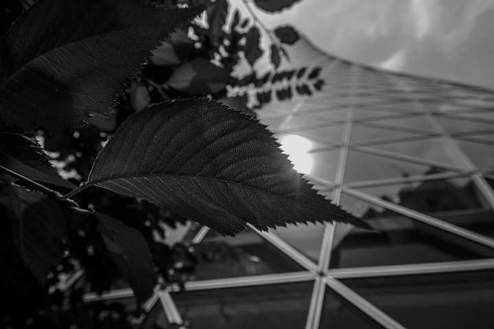 b0134829_105747.jpg