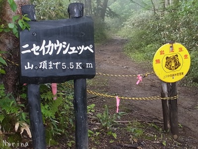 ニセカウシュッペ山 16/07/\'15_e0326953_1521547.jpg