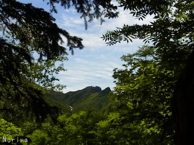 ニセカウシュッペ山 16/07/\'15_e0326953_15301768.jpg