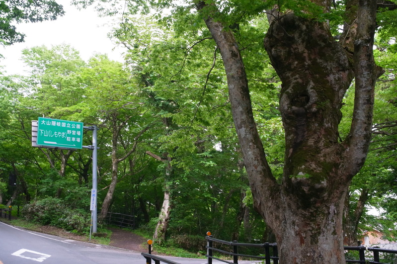 車中泊で気ままな一人旅/大山1（鳥取県)_a0288155_20235128.jpg