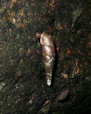 e0035757_00351580.jpg
