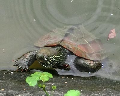 e0035757_00360219.jpg