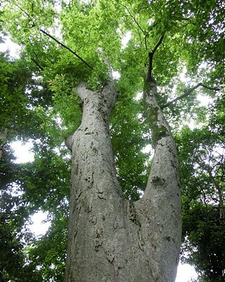 e0035757_00401567.jpg