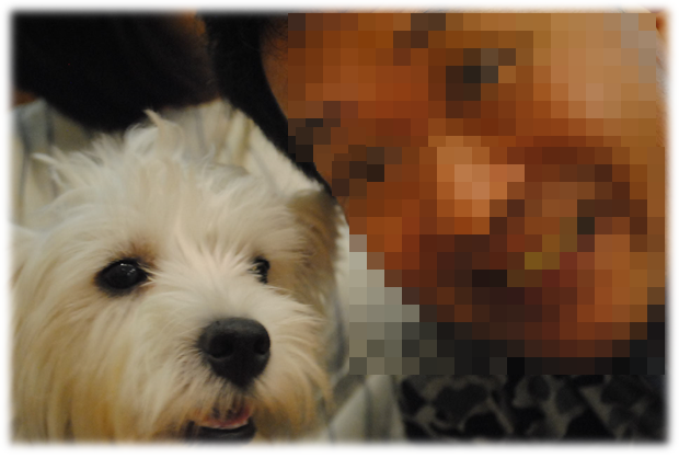 b0242873_01311736.png