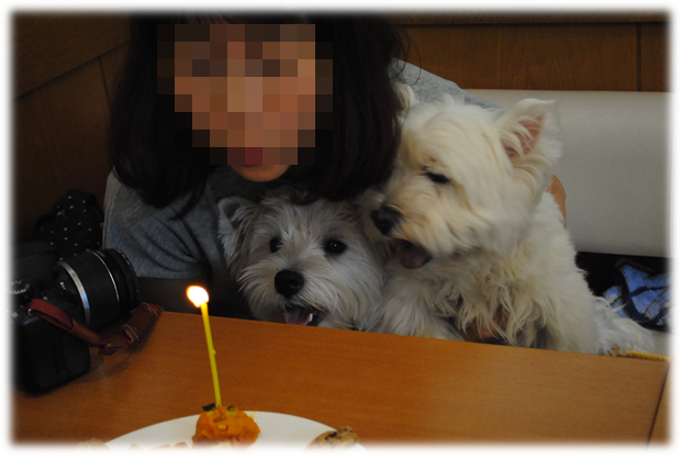 ♪ ダニエル  ぽっぺちゃん1歳のお誕生会～Ｏ(≧▽≦)Ｏ ♪_b0242873_01432638.png