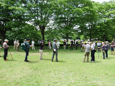 f0140773_1652084.gif