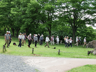 f0140773_1672035.gif