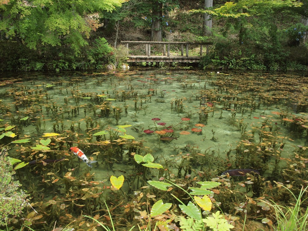 根道神社と神秘的な根道清水池の風景 自然風の自然風だより