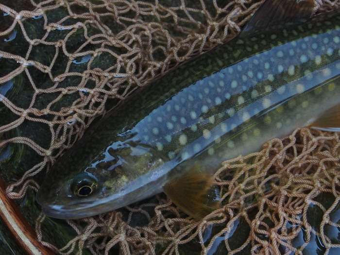 c0197578_10451397.jpg