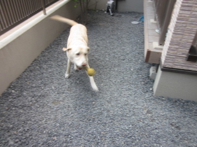 f0005081_1839924.jpg