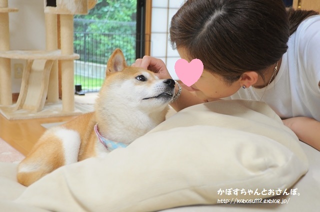 かぼちゃん_a0126590_06153835.jpg