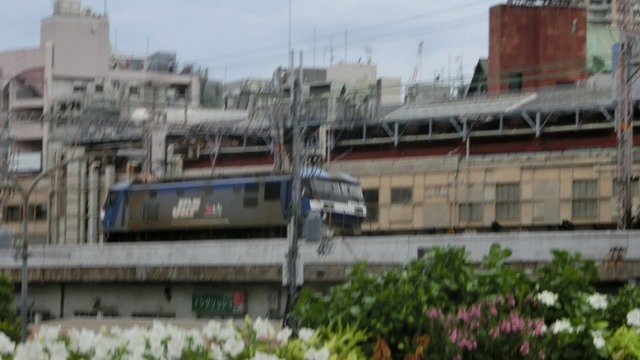 d0181492_0183533.jpg
