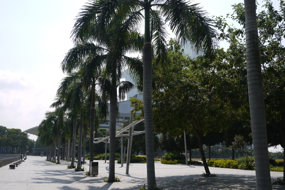 b0183295_20520560.jpg