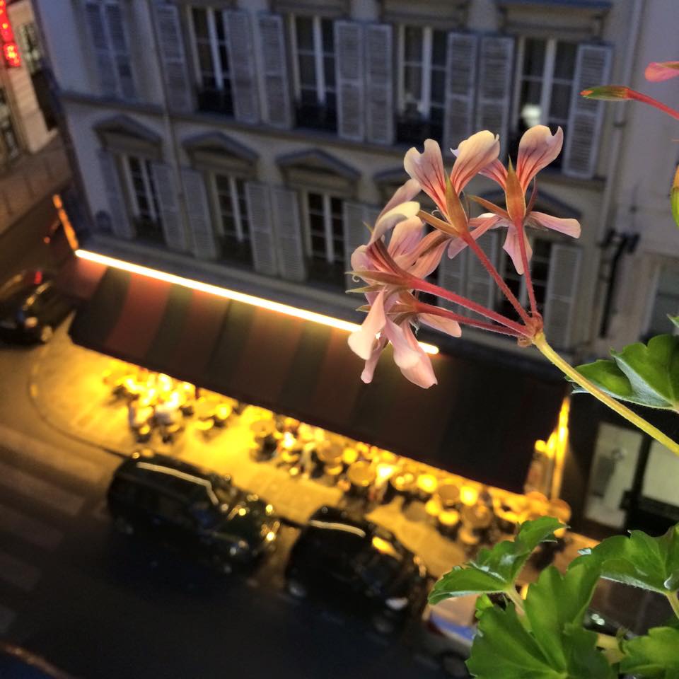 パリの花_b0105897_1552025.jpg