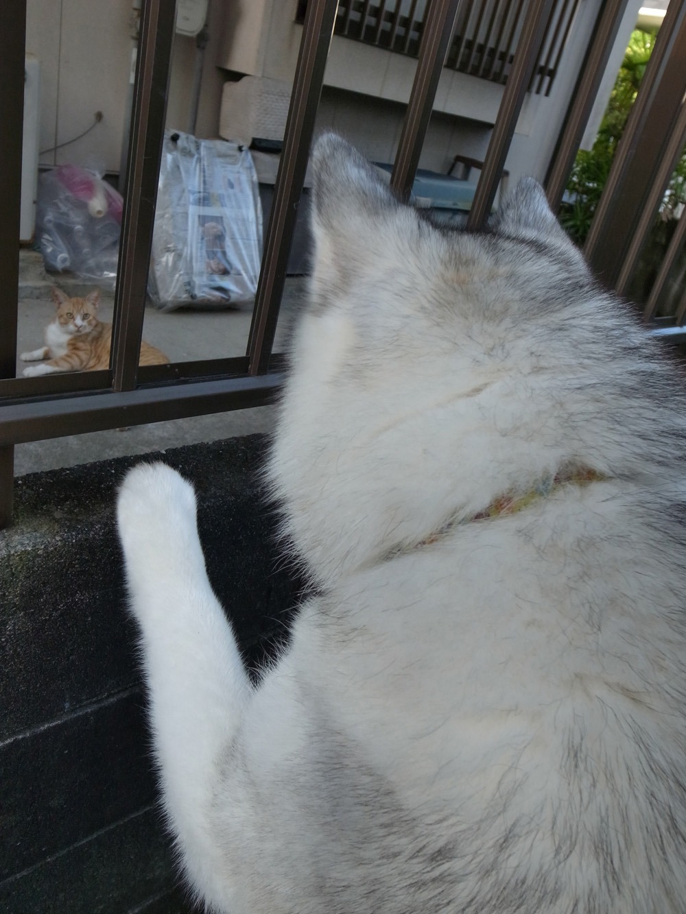 のぞき屋はなちゃん (^o^)_c0049299_22544571.jpg