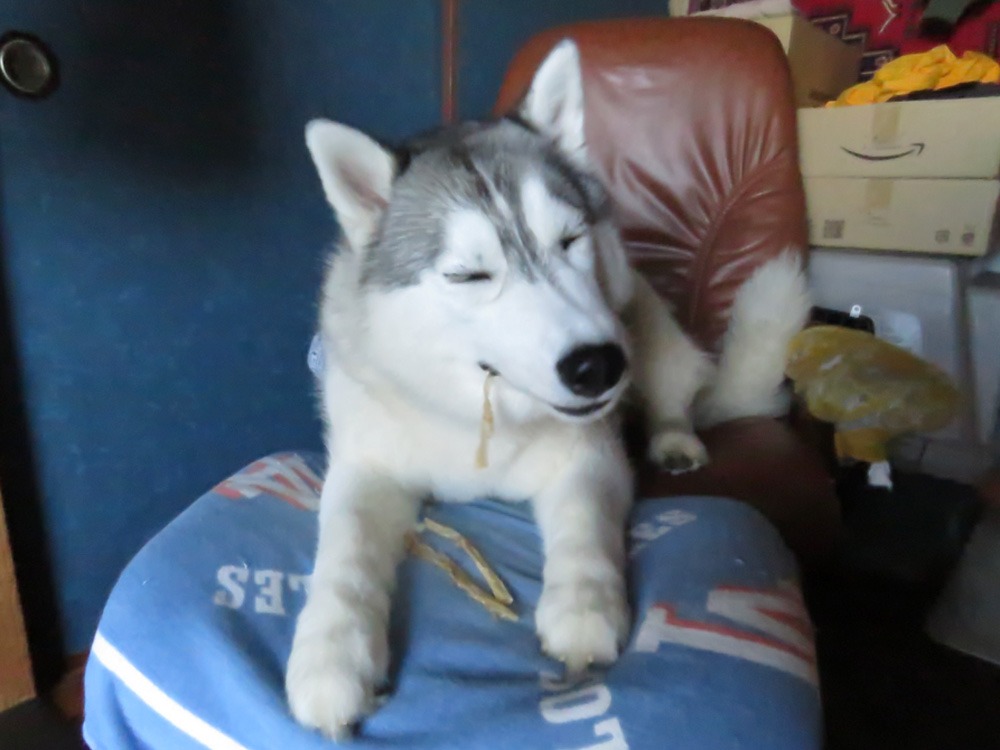 のぞき屋はなちゃん (^o^)_c0049299_22562356.jpg