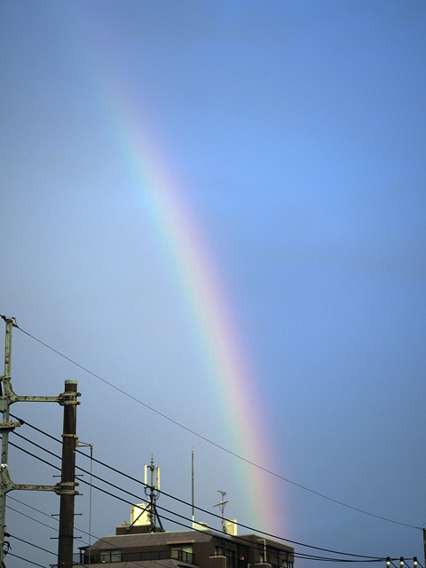 c0187503_20384019.jpg