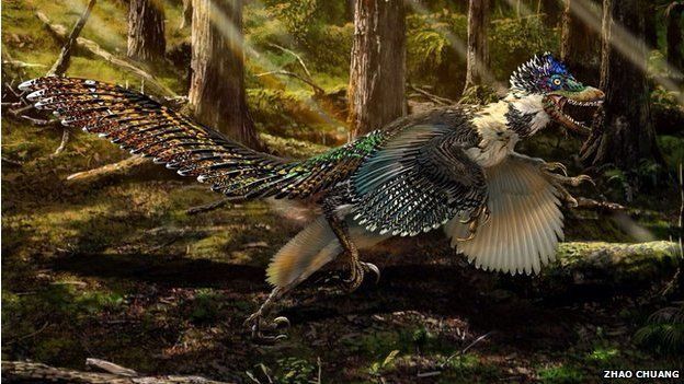 恐竜ベロキラプトルの祖先は、『翼を付けたドラゴン』_b0316804_18004488.jpg