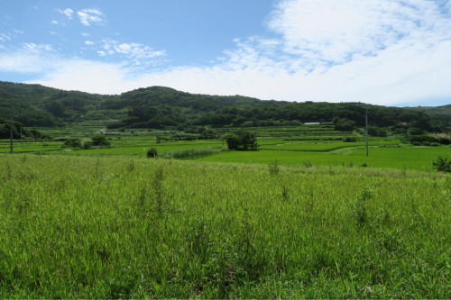海界の村を歩く 日本海 見島(山口県萩市)_d0147406_19301449.jpg