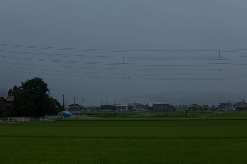 a0278914_5584786.jpg