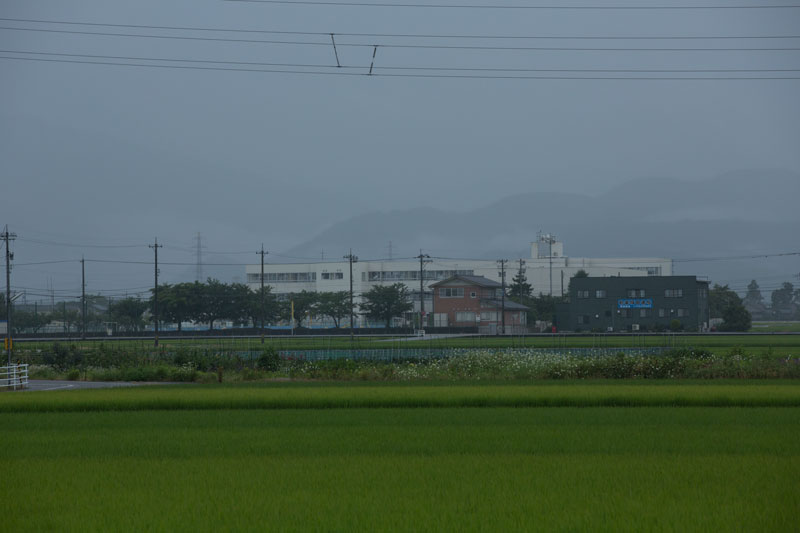 a0278914_5592914.jpg