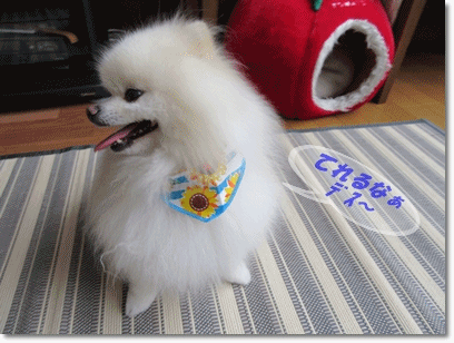 b0167519_2245153.gif